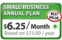 Small Business Annual Plan