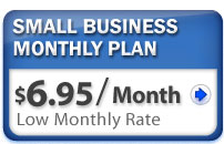 Small Business Monthly Plan