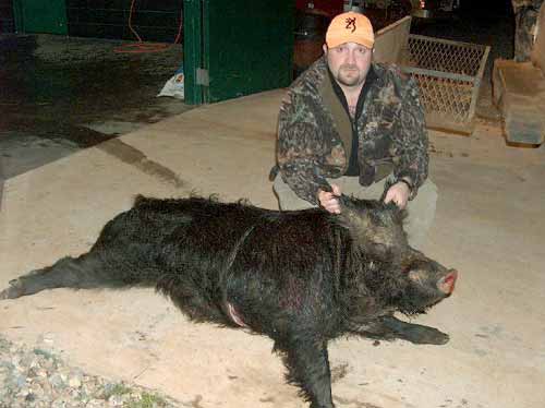 Image of Hog Hunting Trip