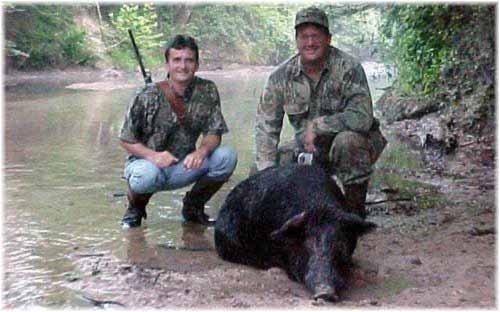 Image of Hog Hunting Trip On River